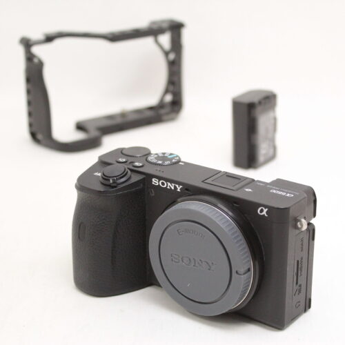 Sony Alpha A6600 Mirrorless Great Camera